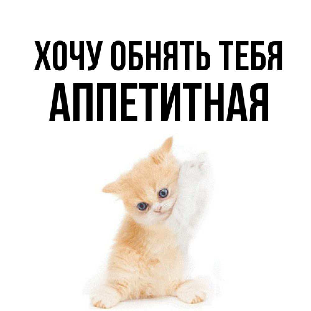 Открытка на каждый день с именем, аппетитная Хочу обнять тебя я хочу очень скорее обнимаешек Прикольная открытка с пожеланием онлайн скачать бесплатно 