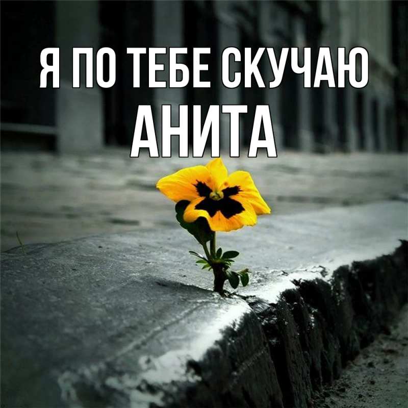 Картинка Я по тебе скучаю, Анита