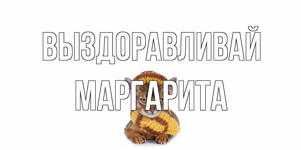 Открытка на каждый день с именем, Маргарита Выздоравливай родные не болейте Прикольная открытка с пожеланием онлайн скачать бесплатно 
