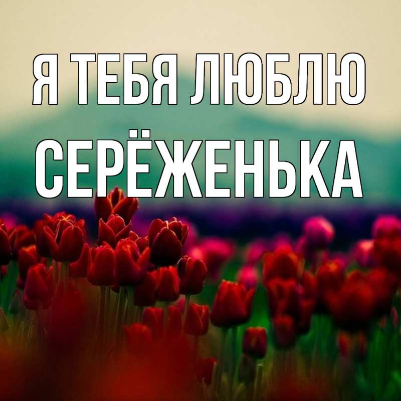 Картинка Я тебя люблю, Серёженька