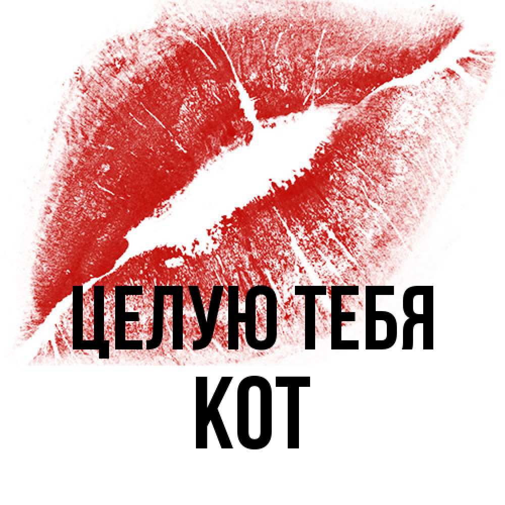 Открытка на каждый день с именем, Кот Целую тебя открытка с пожеланием поцелуя Прикольная открытка с пожеланием онлайн скачать бесплатно 