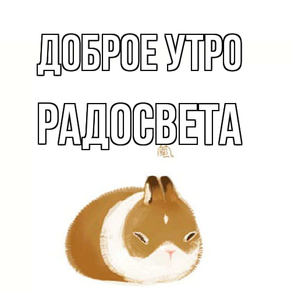 Открытка на каждый день с именем, Радосвета Доброе утро хорошего утречка Прикольная открытка с пожеланием онлайн скачать бесплатно 