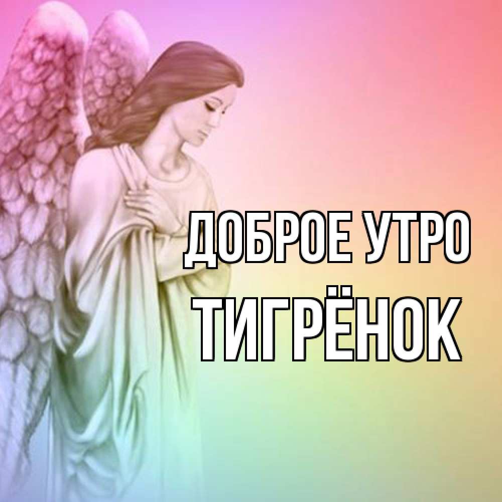 Открытка на каждый день с именем, Тигрёнок Доброе утро крылья Прикольная открытка с пожеланием онлайн скачать бесплатно 