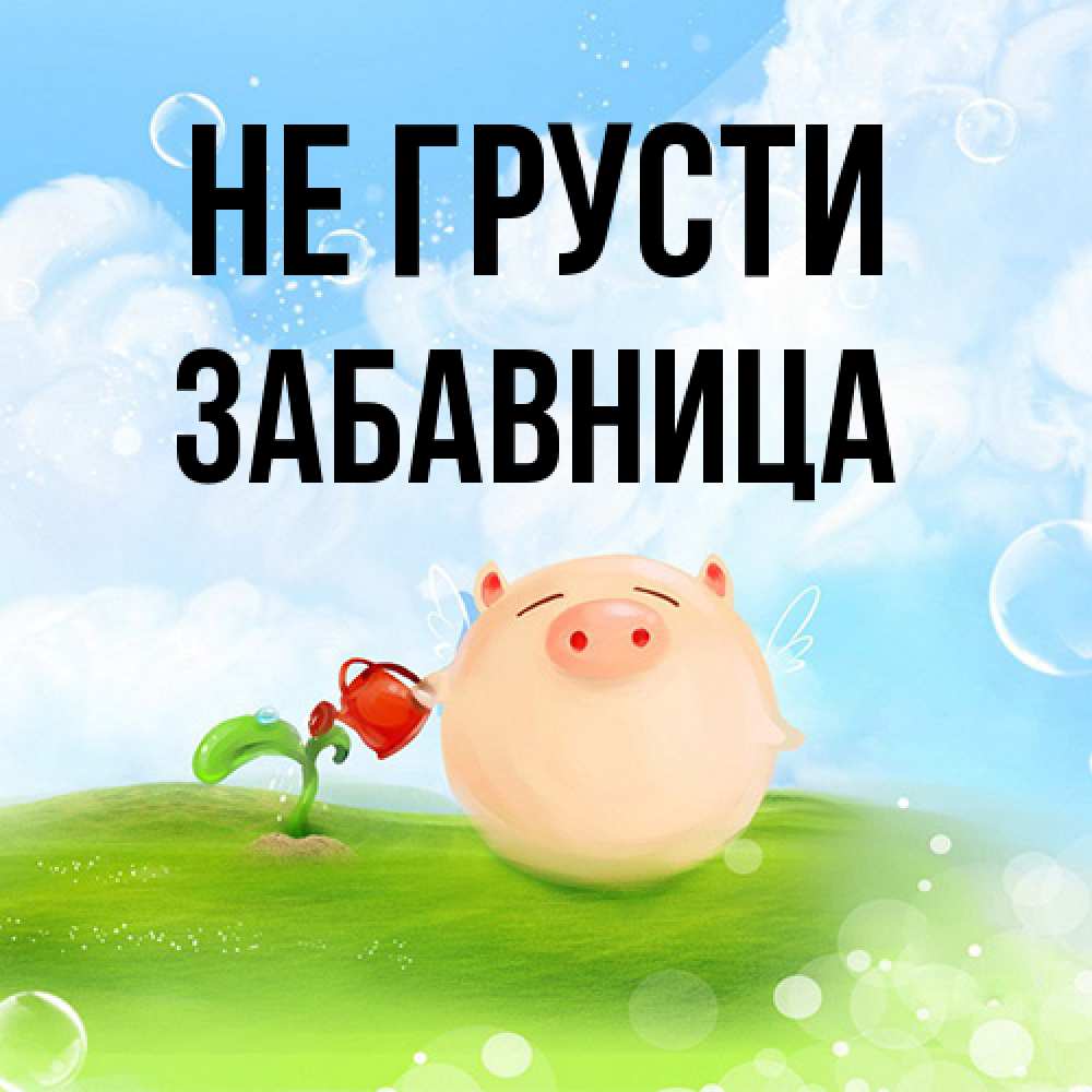 Открытка на каждый день с именем, Забавница Не грусти поливает цветок порося Прикольная открытка с пожеланием онлайн скачать бесплатно 