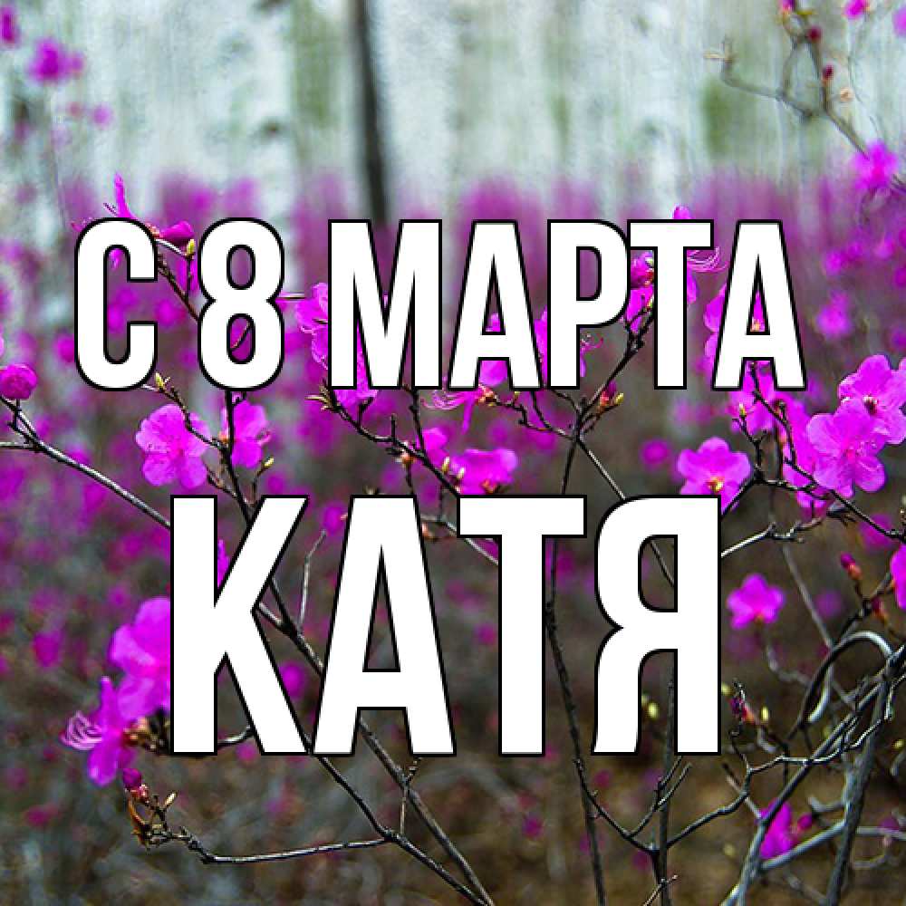 Открытка на каждый день с именем, Катя C 8 МАРТА дикие цветы Прикольная открытка с пожеланием онлайн скачать бесплатно 