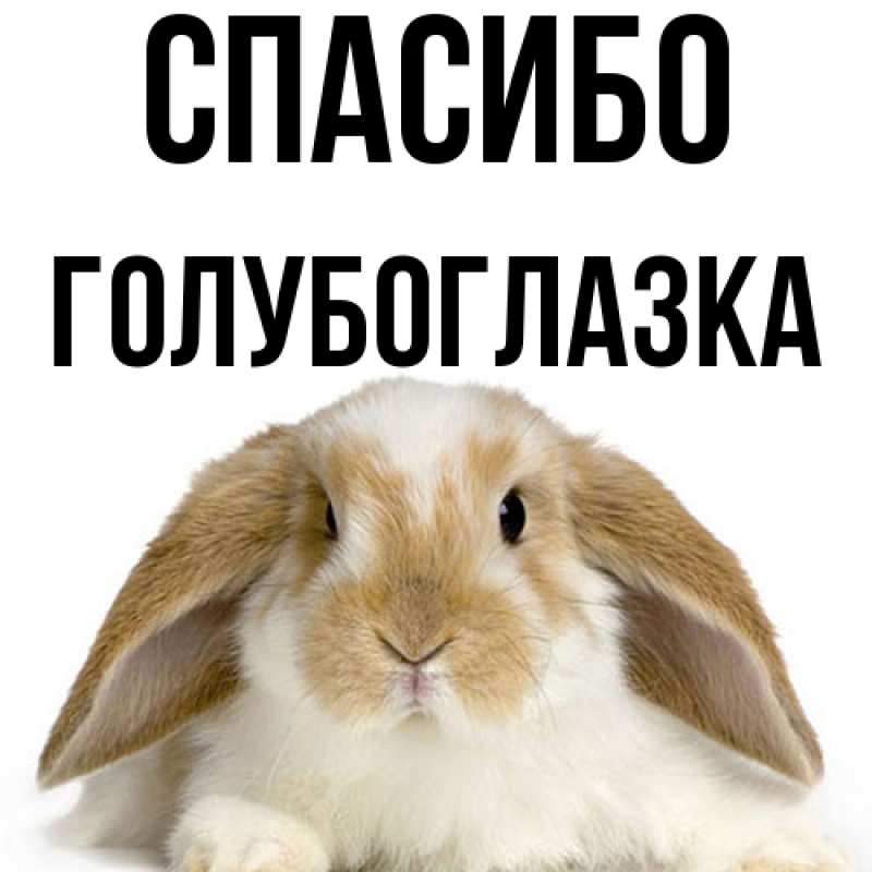 Картинка Спасибо, Голубоглазка