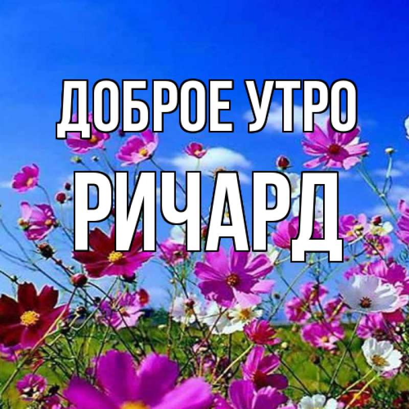 Картинка Доброе утро, Ричард