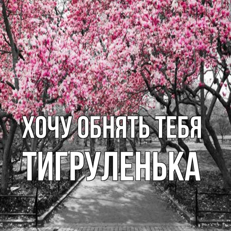 Картинка Хочу обнять тебя, Тигpуленька