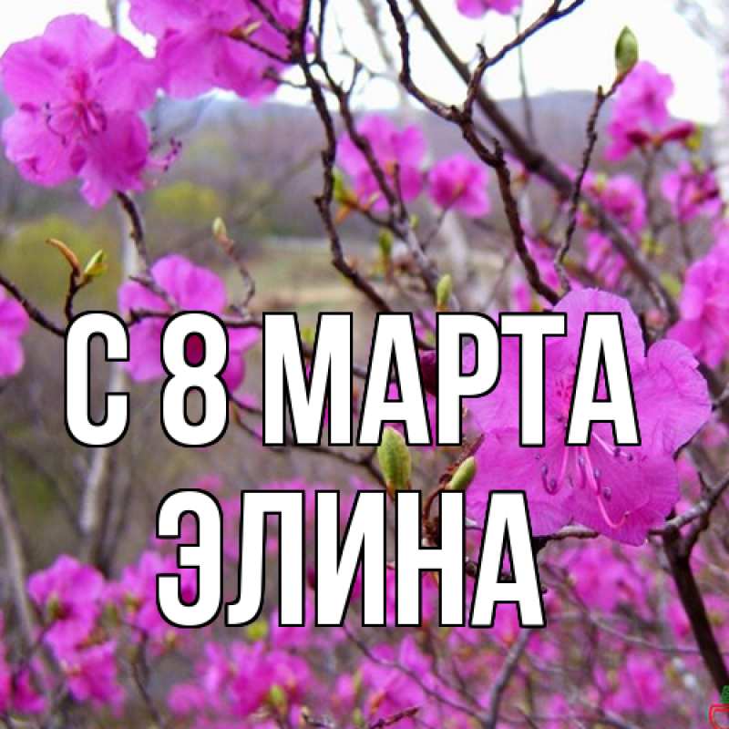 Картинка C 8 МАРТА, Элина