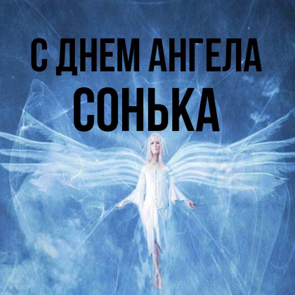 Открытка на каждый день с именем, Сонька С днем ангела голубой фон и крылья как у стрекозы Прикольная открытка с пожеланием онлайн скачать бесплатно 