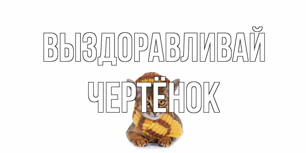 Открытка на каждый день с именем, Чертёнок Выздоравливай родные не болейте Прикольная открытка с пожеланием онлайн скачать бесплатно 