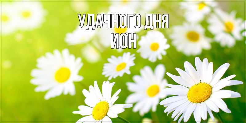 Картинка Удачного дня, Ион