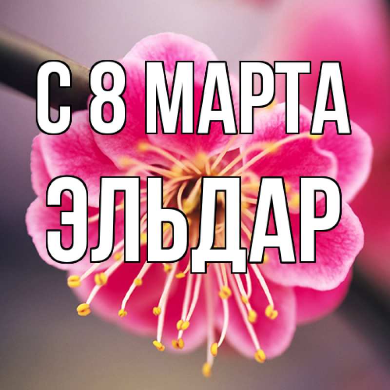 Картинка C 8 МАРТА, Эльдар