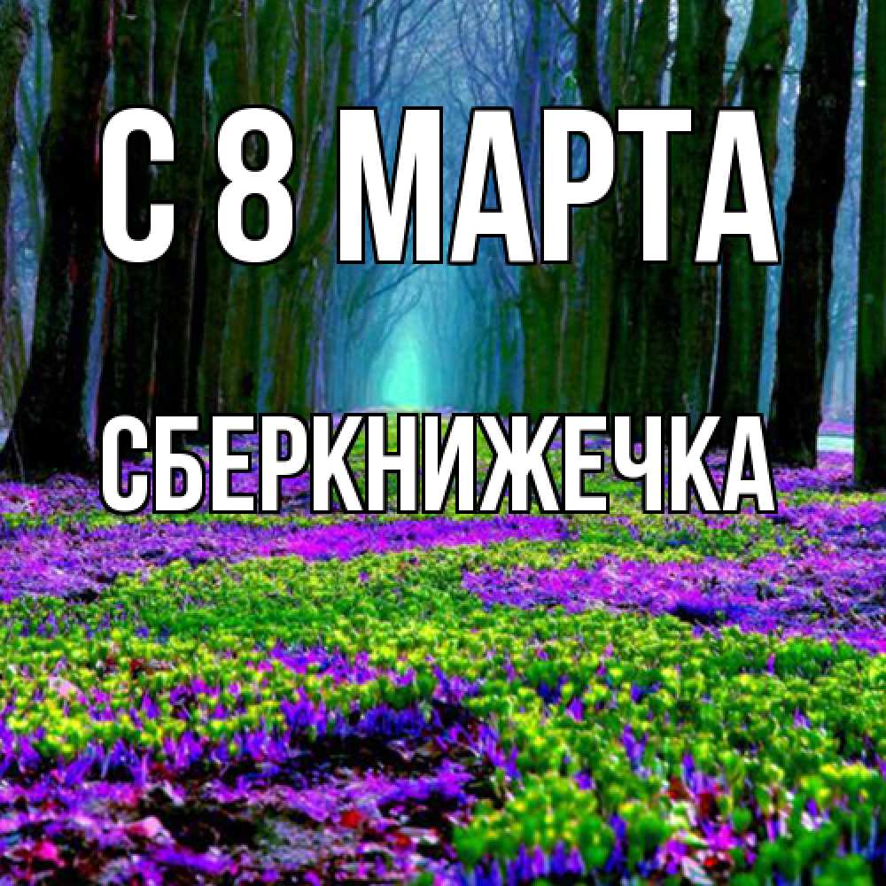 Открытка на каждый день с именем, сберкнижечка C 8 МАРТА фиолетовые цветы в лесу 1 Прикольная открытка с пожеланием онлайн скачать бесплатно 