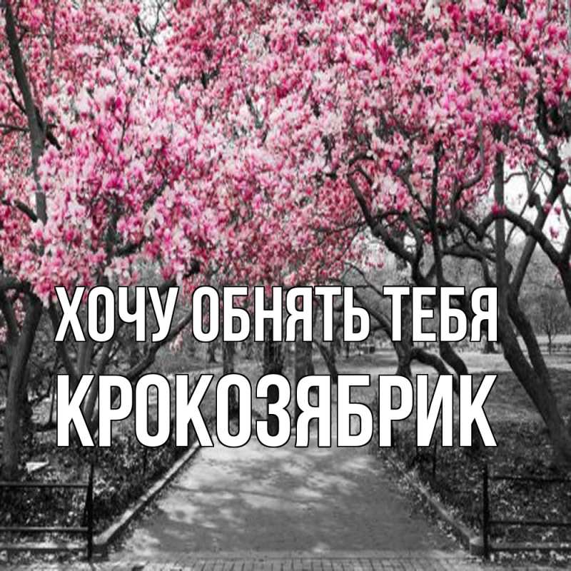 Картинка Хочу обнять тебя, крокозябрик