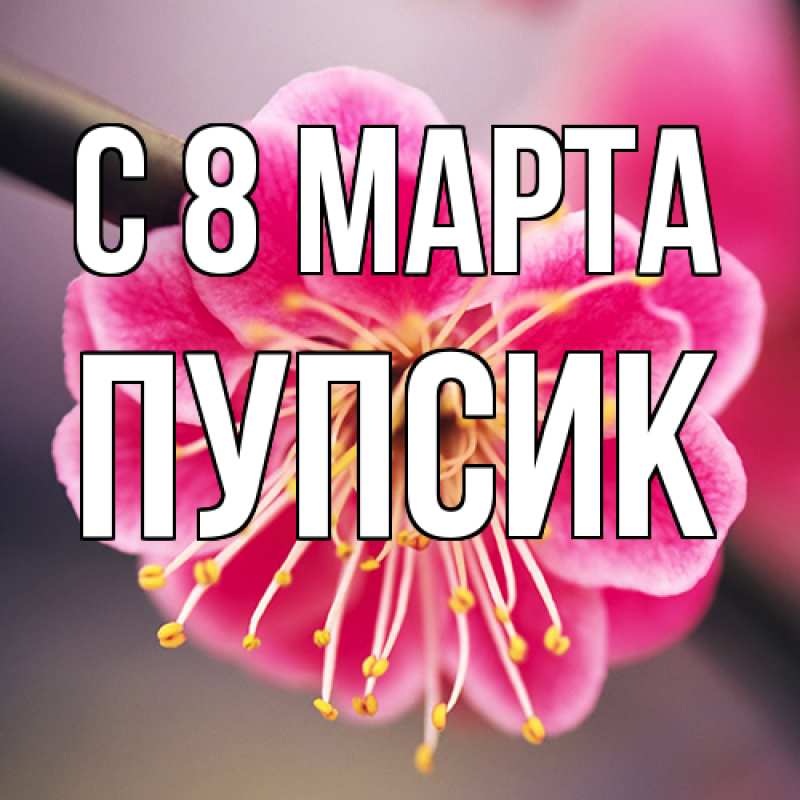 Картинка C 8 МАРТА, пупсик