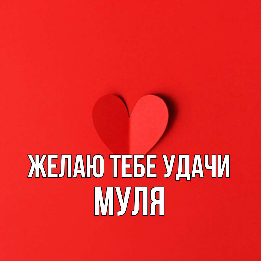 Открытка на каждый день с именем, Муля Желаю тебе удачи пусть повезет для любимых 1 Прикольная открытка с пожеланием онлайн скачать бесплатно 