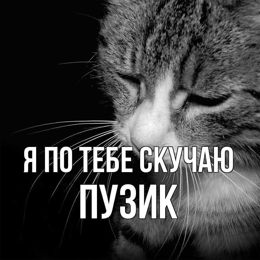 Открытка на каждый день с именем, Пузик Я по тебе скучаю мне скучно Прикольная открытка с пожеланием онлайн скачать бесплатно 