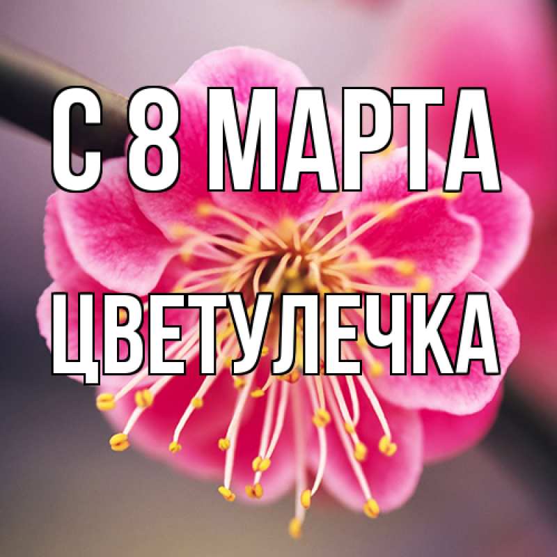 Картинка C 8 МАРТА, Цветулечка