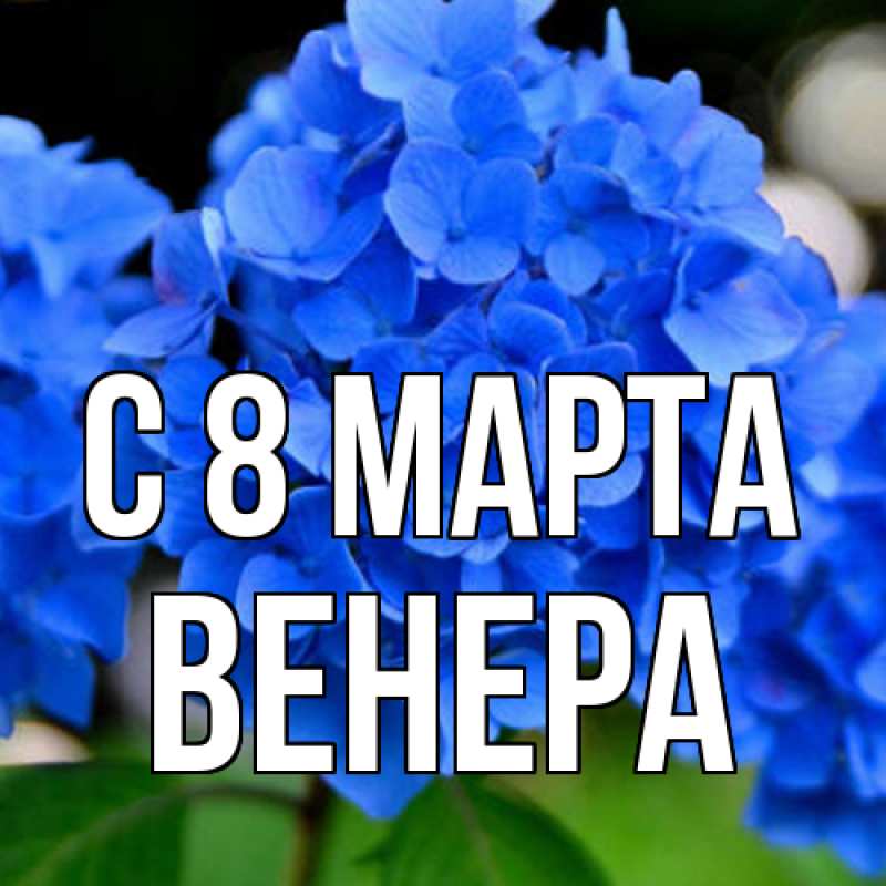 Картинка C 8 МАРТА, Венера