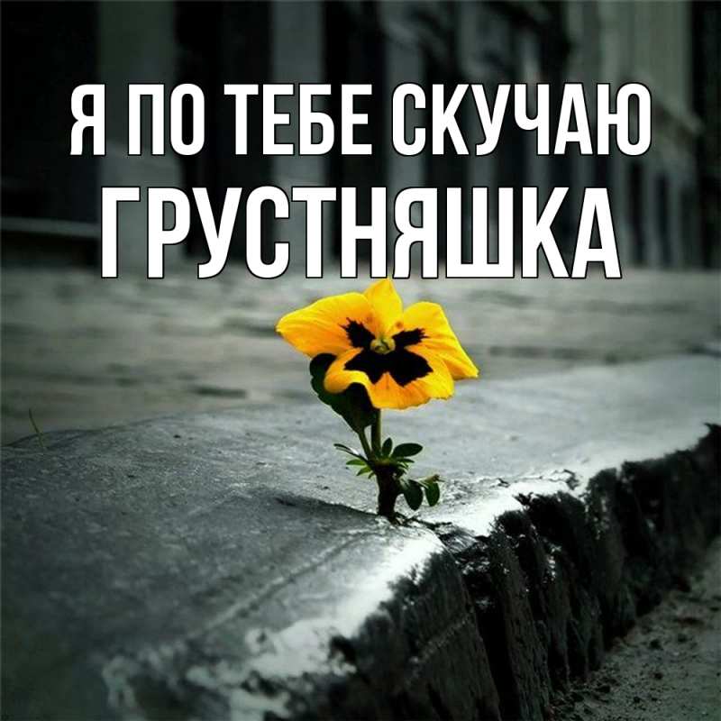 Картинка Я по тебе скучаю, Грустняшка