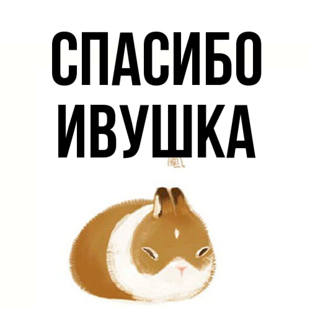 Открытка на каждый день с именем, Ивушка Спасибо коричнево белый домашний питомец Прикольная открытка с пожеланием онлайн скачать бесплатно 