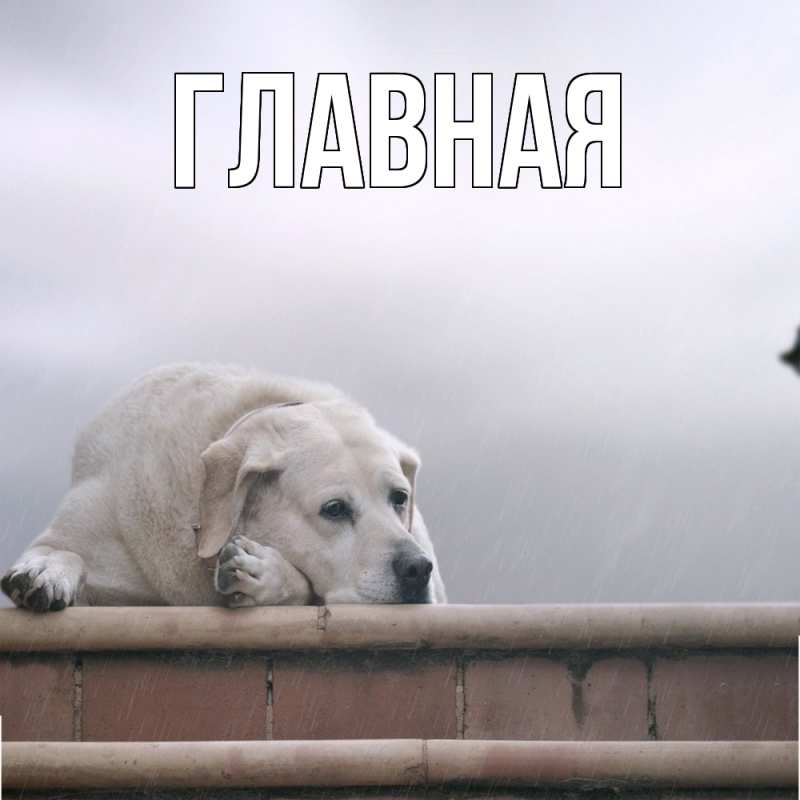 Картинка  с именем , Анна