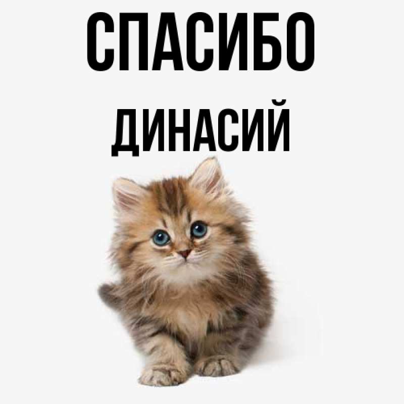Картинка Спасибо, Динасий