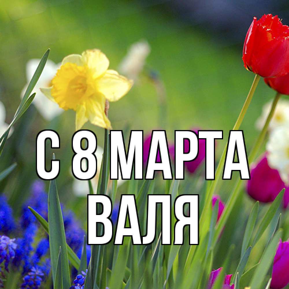 Открытка на каждый день с именем, Валя C 8 МАРТА международный женский день 3 Прикольная открытка с пожеланием онлайн скачать бесплатно 