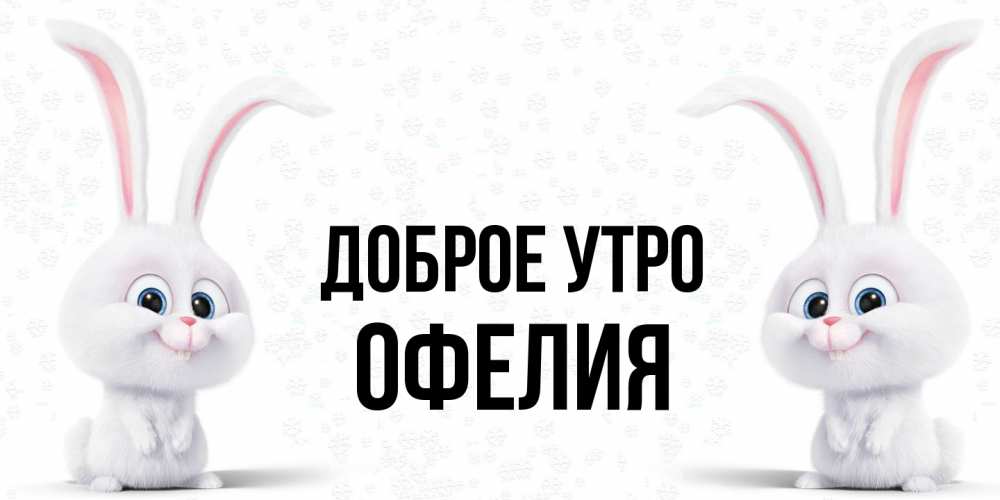 Открытка на каждый день с именем, Офелия Доброе утро кролики с длинными ушками Прикольная открытка с пожеланием онлайн скачать бесплатно 