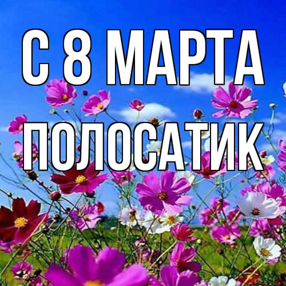 Открытка на каждый день с именем, полосатик C 8 МАРТА цветы Прикольная открытка с пожеланием онлайн скачать бесплатно 