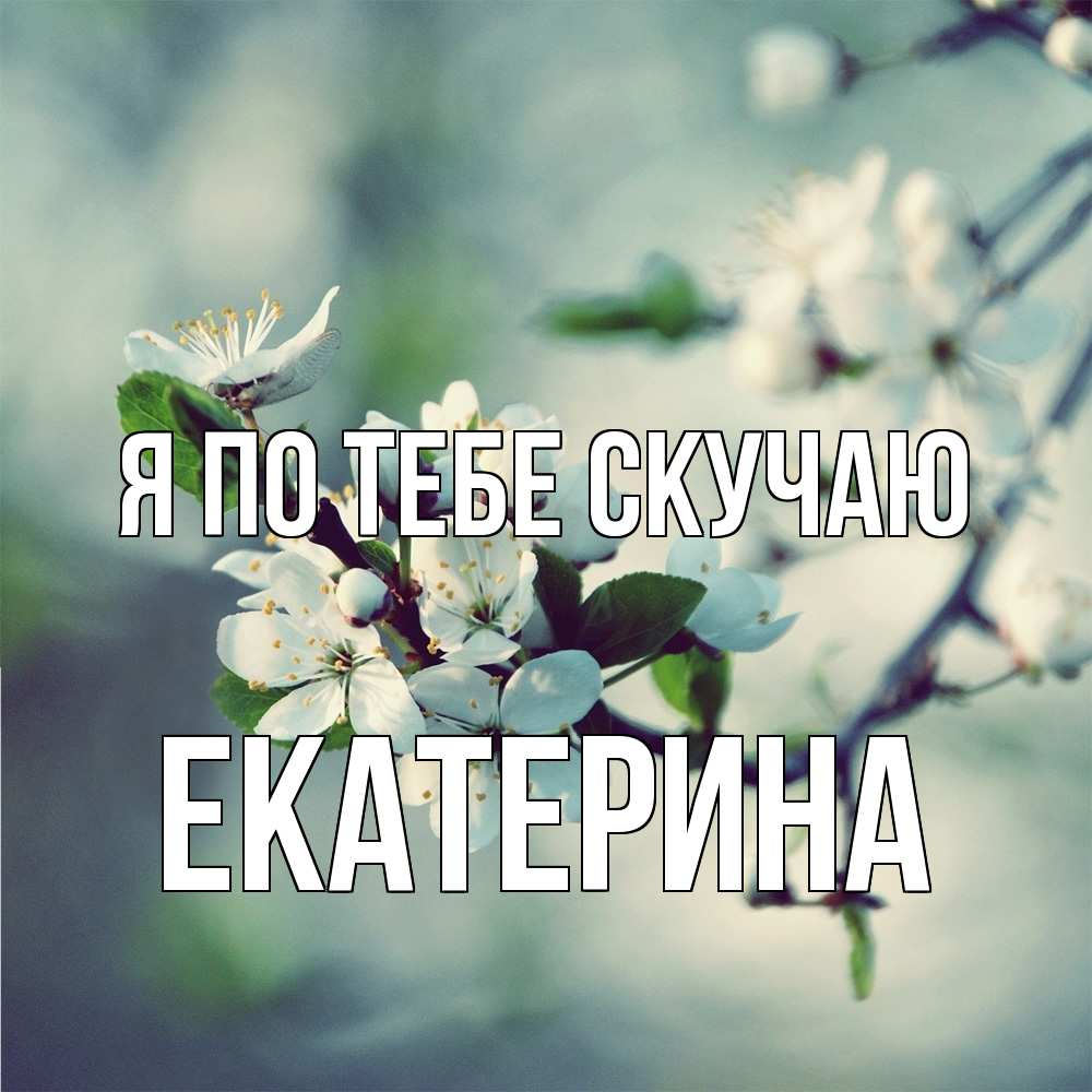 Открытка на каждый день с именем, Екатерина Я по тебе скучаю весна Прикольная открытка с пожеланием онлайн скачать бесплатно 