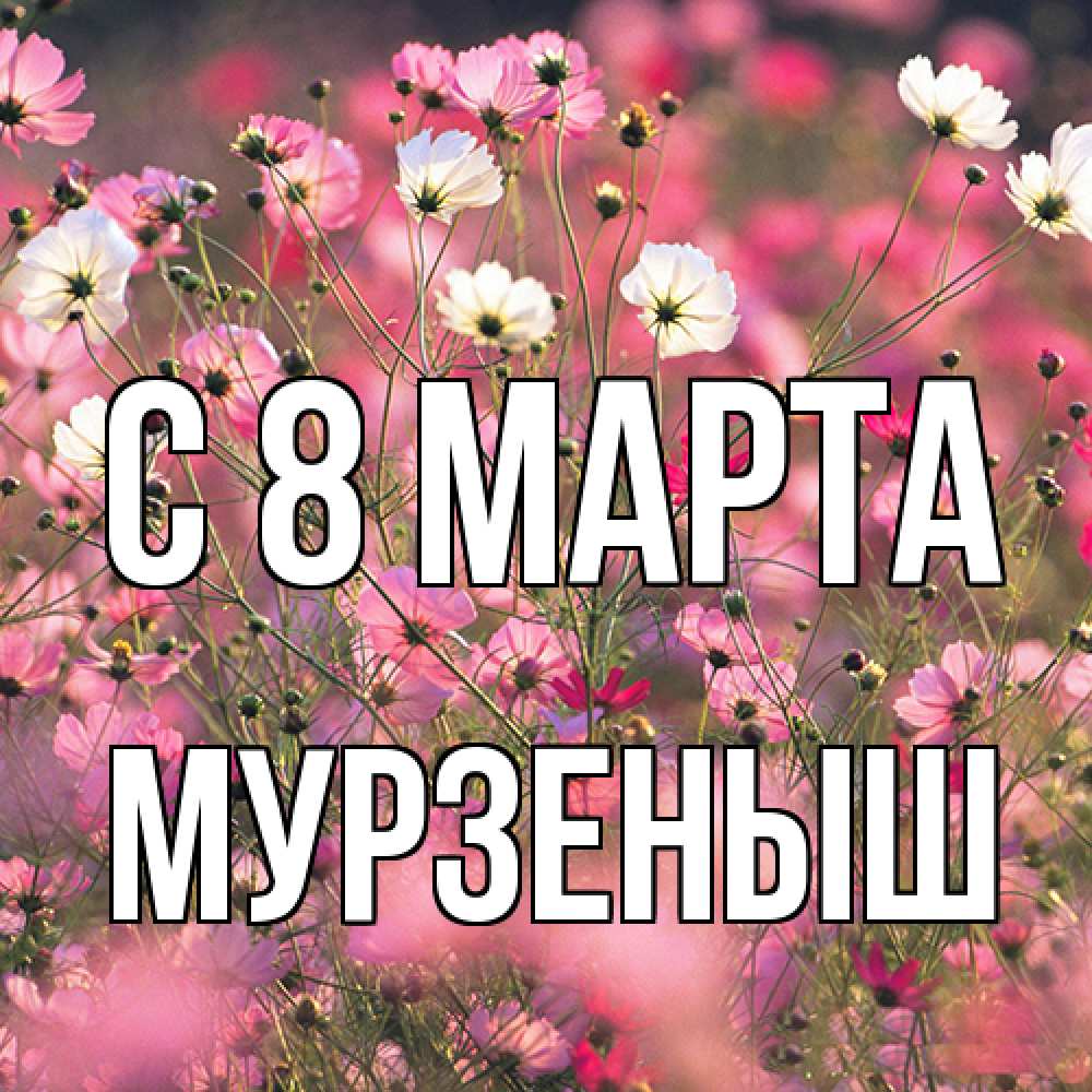 Открытка на каждый день с именем, мурзеныш C 8 МАРТА красиво 1 Прикольная открытка с пожеланием онлайн скачать бесплатно 