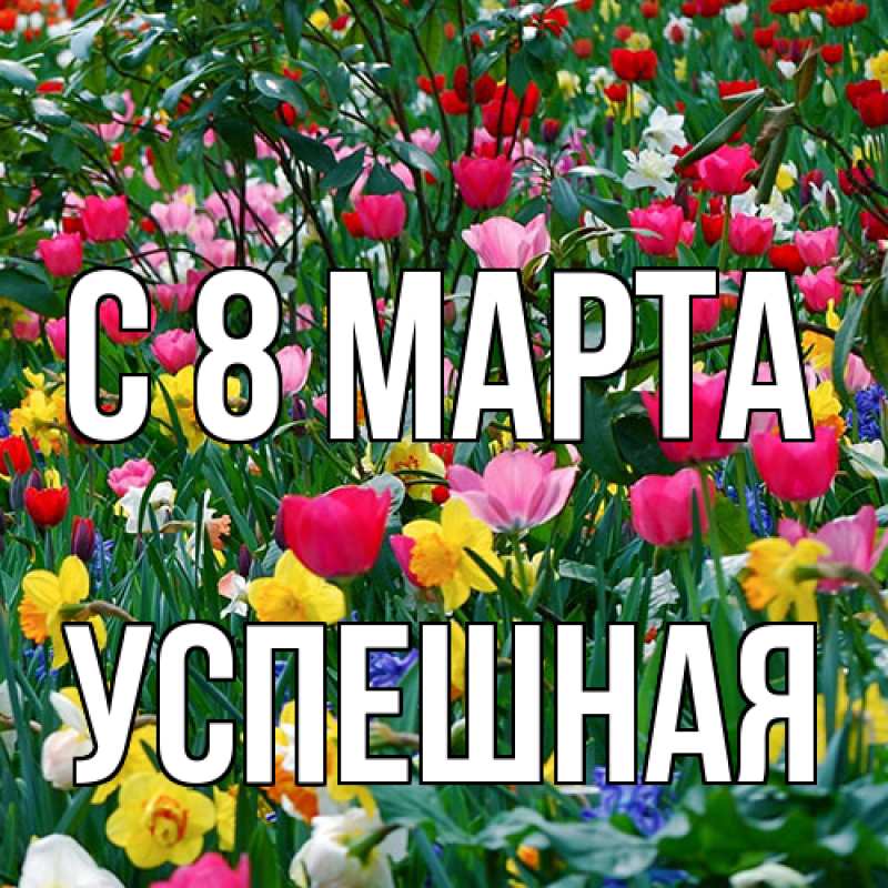 Картинка C 8 МАРТА, Успешная