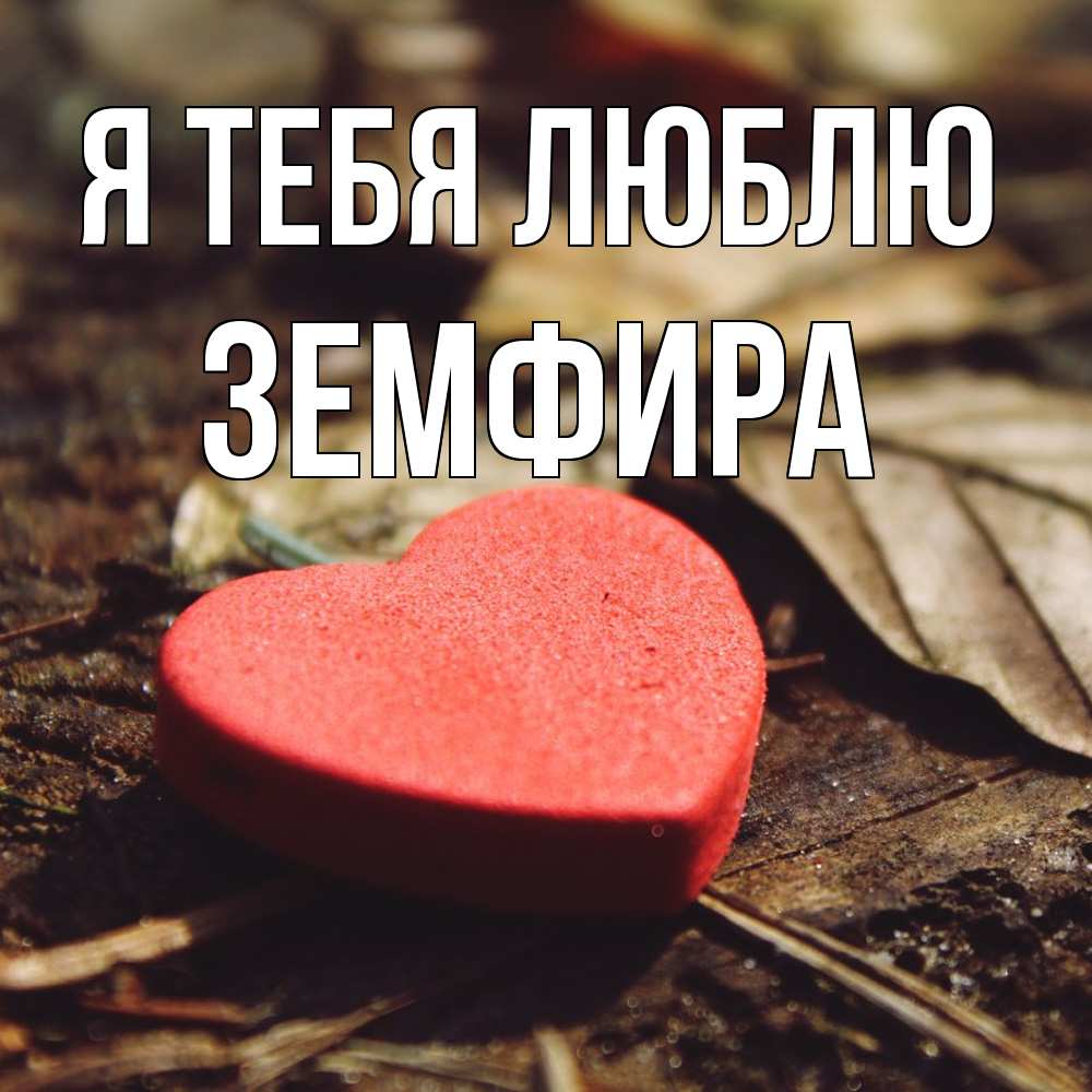 Открытка на каждый день с именем, Земфира Я тебя люблю листья деревье 4 Прикольная открытка с пожеланием онлайн скачать бесплатно 