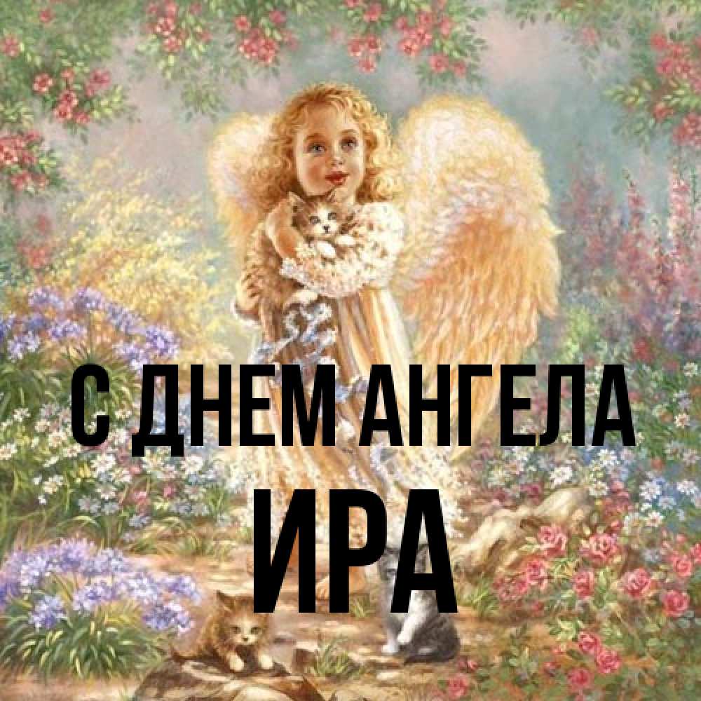 Открытка на каждый день с именем, Ира С днем ангела держит котенка Прикольная открытка с пожеланием онлайн скачать бесплатно 