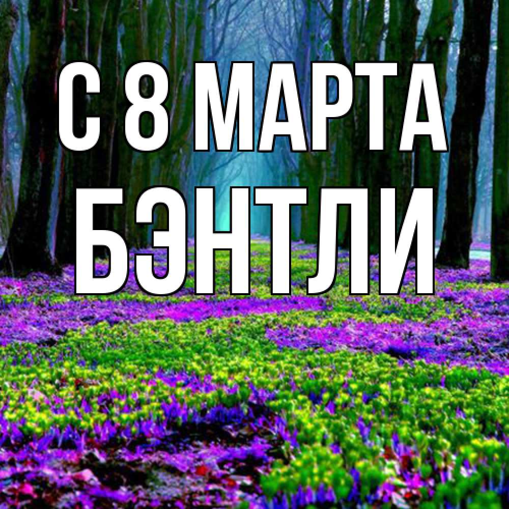 Открытка на каждый день с именем, Бэнтли C 8 МАРТА фиолетовые цветы в лесу 1 Прикольная открытка с пожеланием онлайн скачать бесплатно 