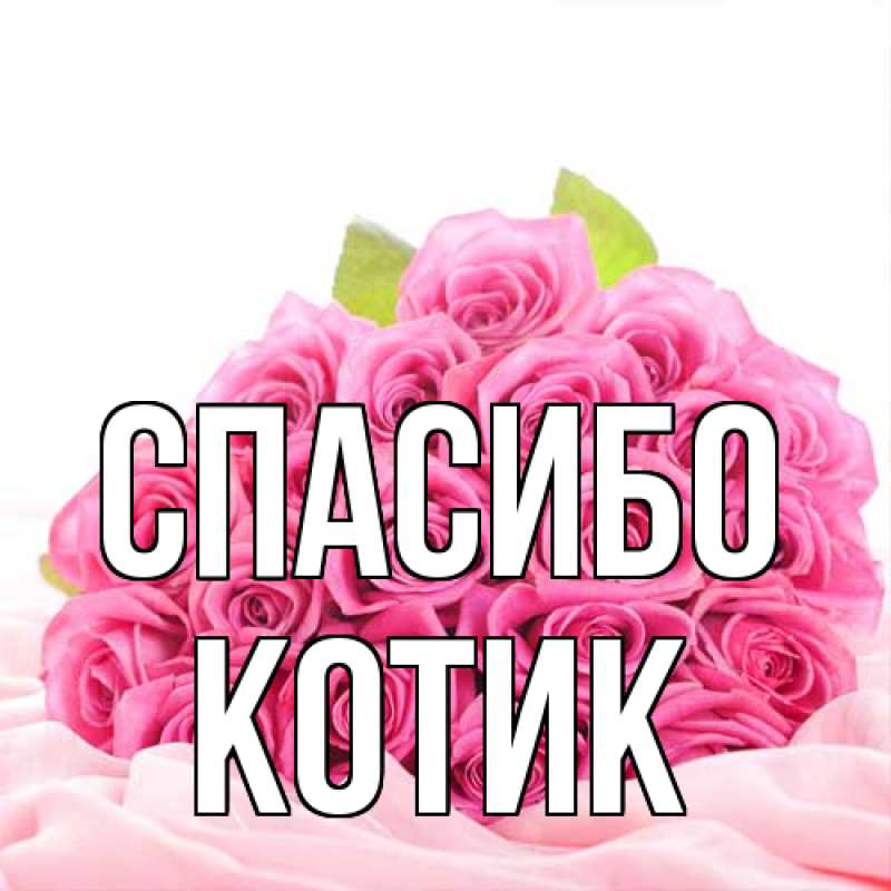 Картинка Спасибо, Котик