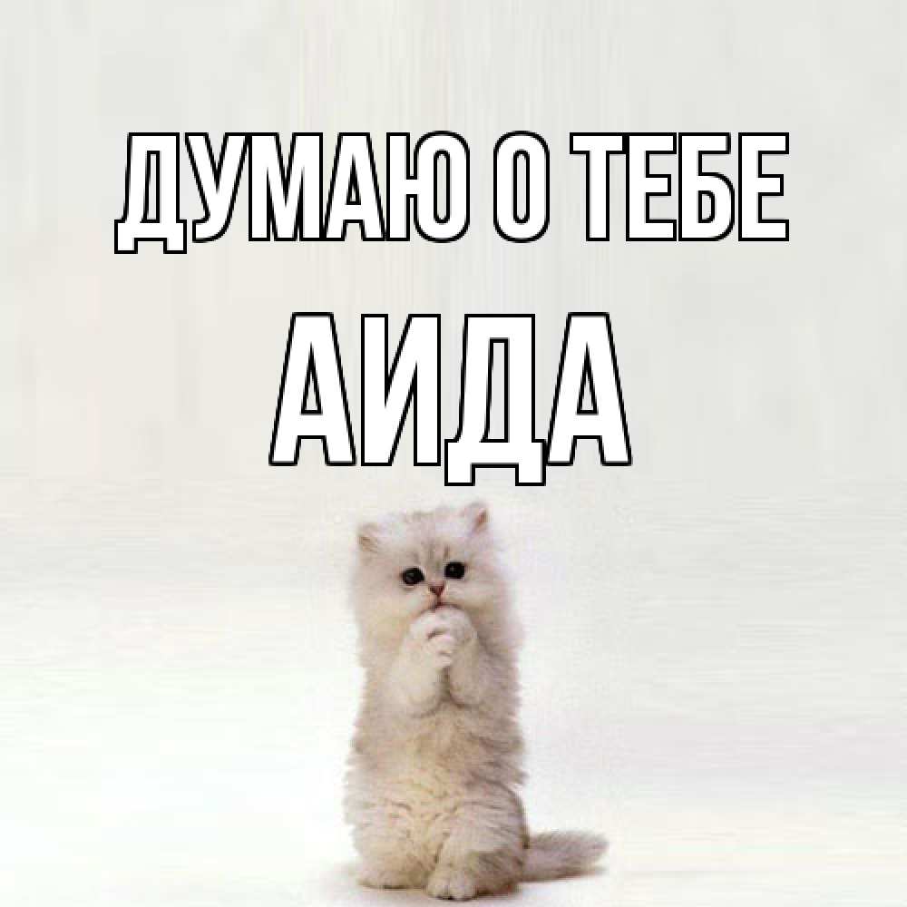 Открытка на каждый день с именем, Аида Думаю о тебе кот стоит на задних лапах Прикольная открытка с пожеланием онлайн скачать бесплатно 