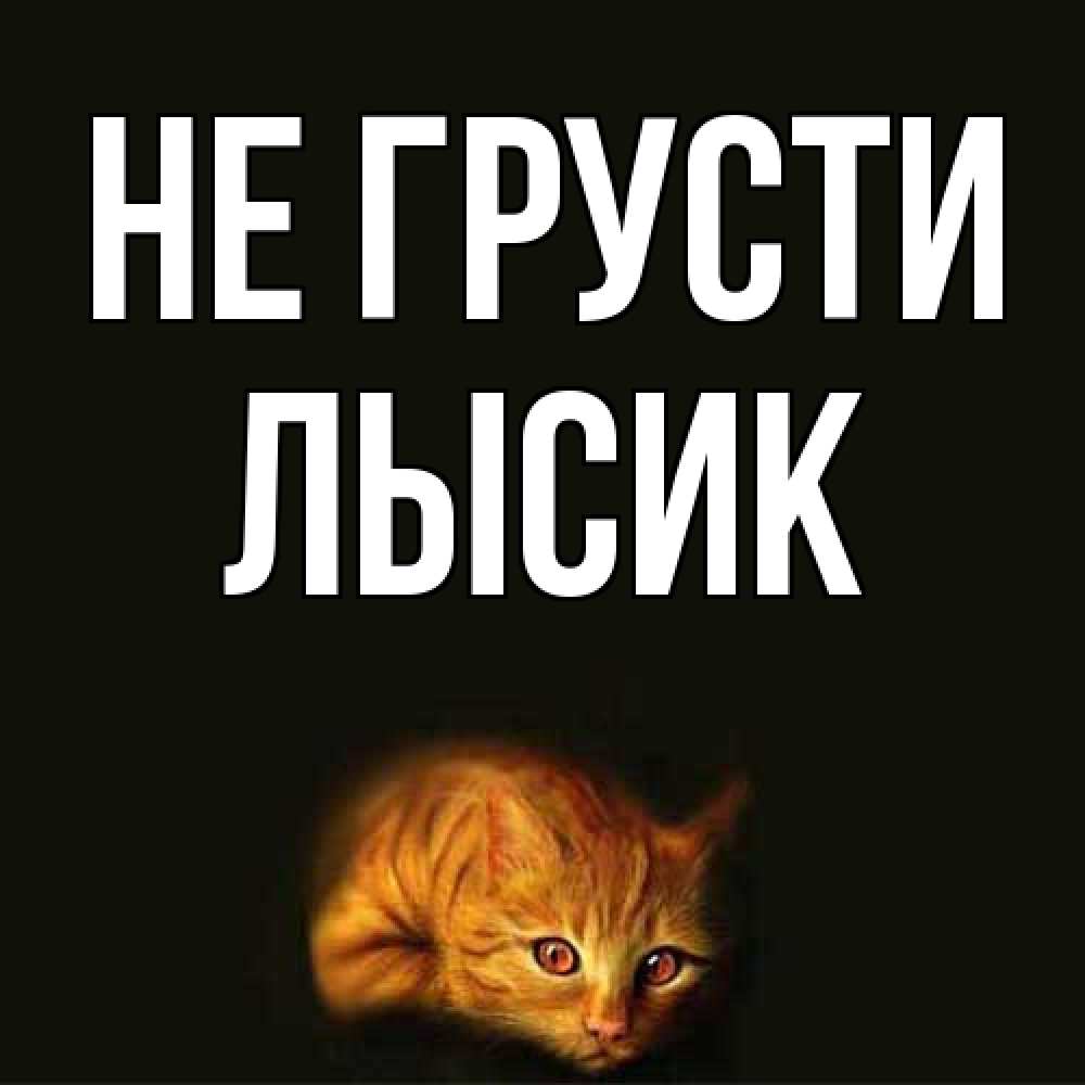 Открытка на каждый день с именем, Лысик Не грусти лежащий кот в темноте Прикольная открытка с пожеланием онлайн скачать бесплатно 