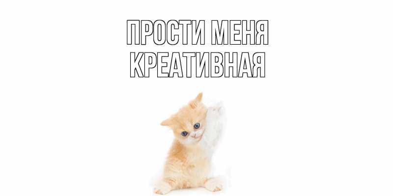 Картинка Прости меня, Креативная