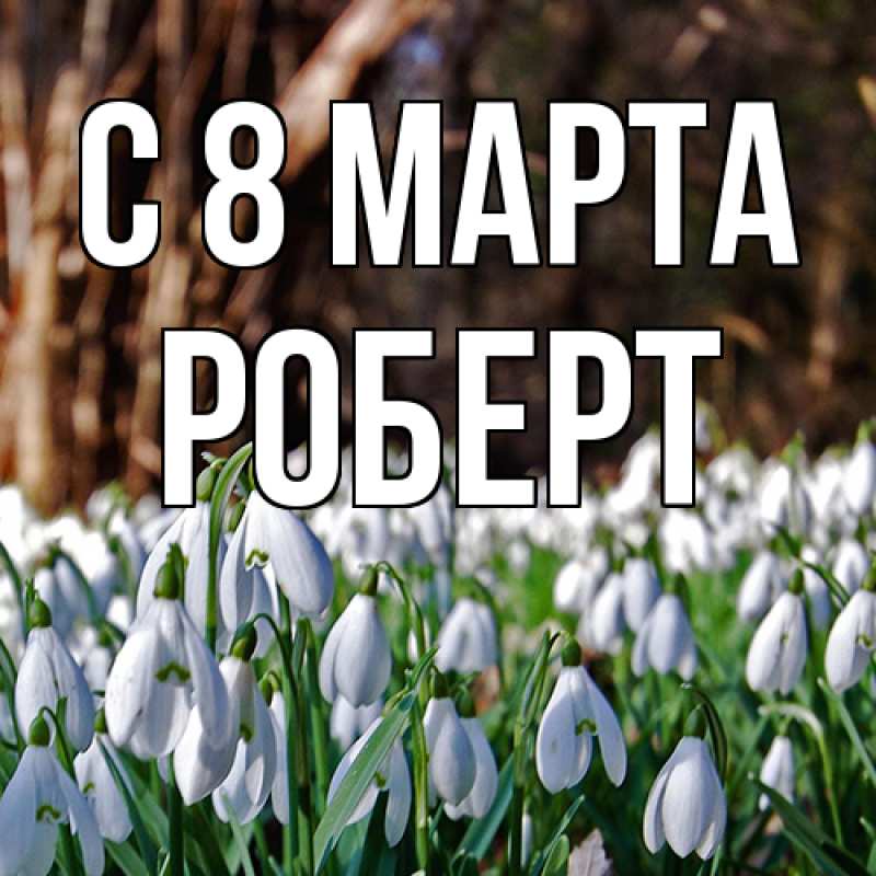 Картинка C 8 МАРТА, Роберт