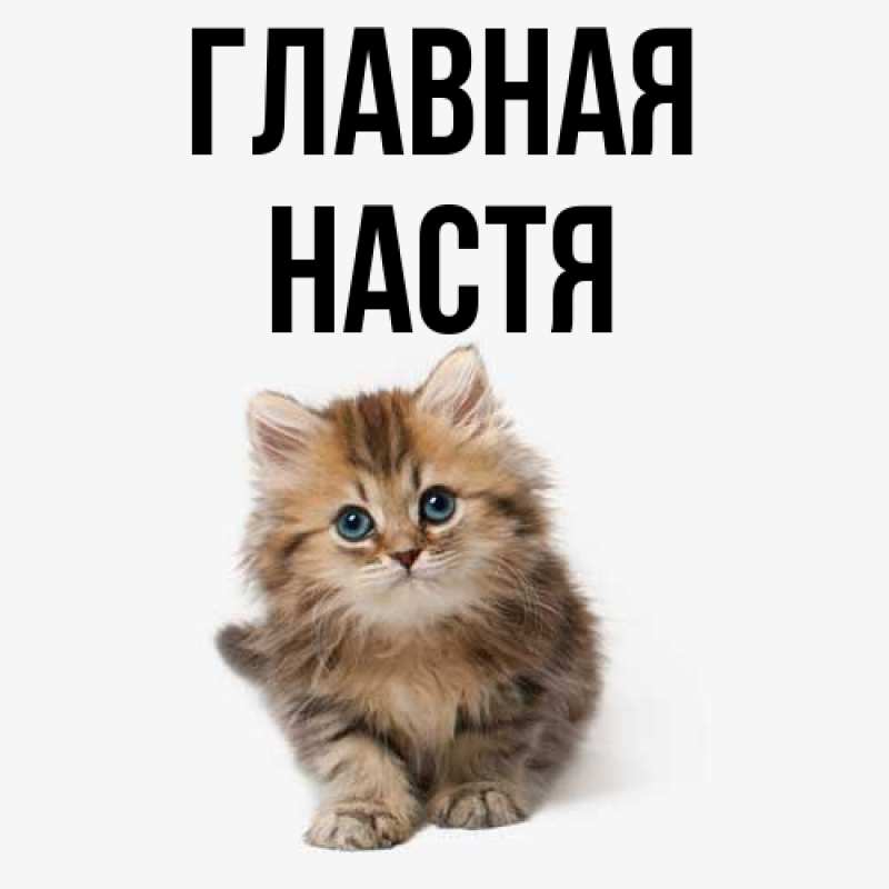 Картинка  с именем , настя