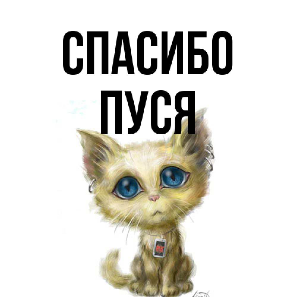 Открытка на каждый день с именем, Пуся Спасибо рисованный кот благодарит вас Прикольная открытка с пожеланием онлайн скачать бесплатно 