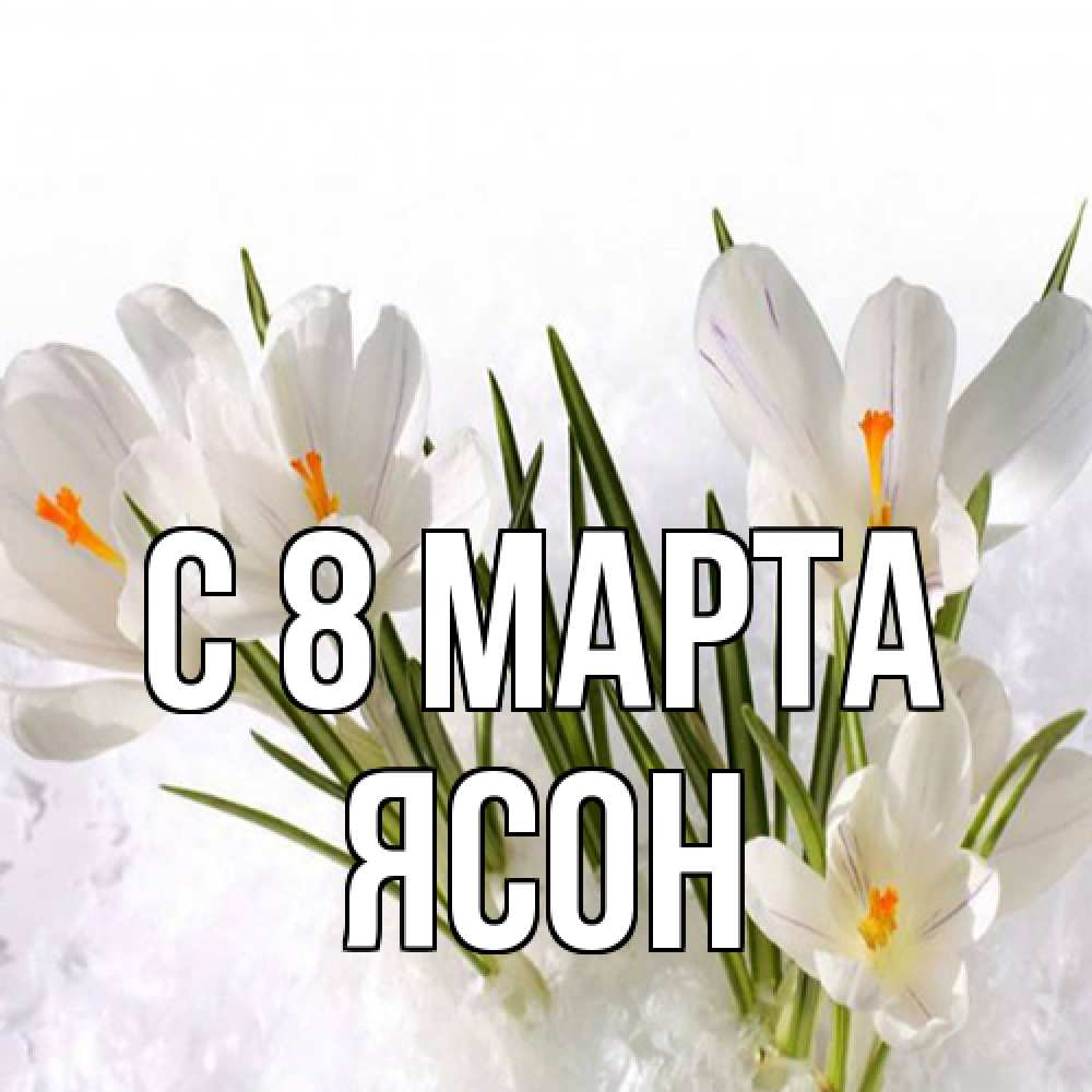 Открытка на каждый день с именем, Ясон C 8 МАРТА под снегом Прикольная открытка с пожеланием онлайн скачать бесплатно 