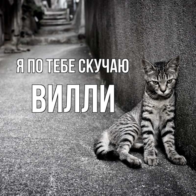 Картинка Я по тебе скучаю, Вилли