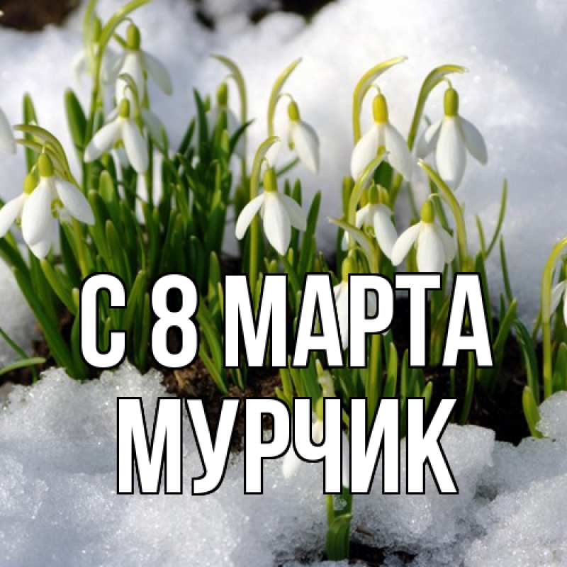 Картинка C 8 МАРТА, Мурчик