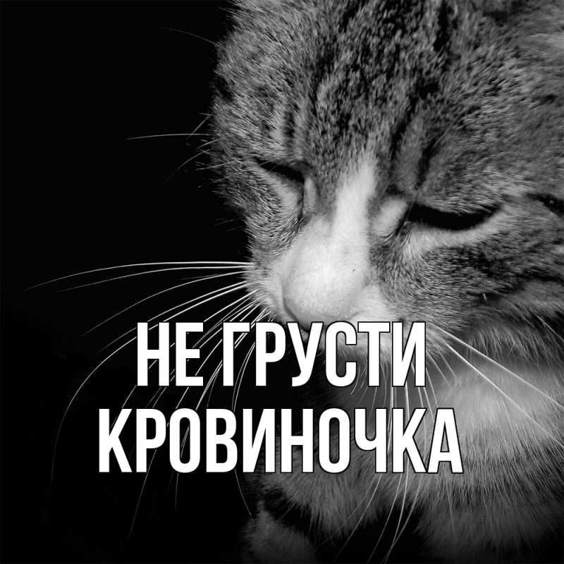 Картинка Не грусти, кровиночка