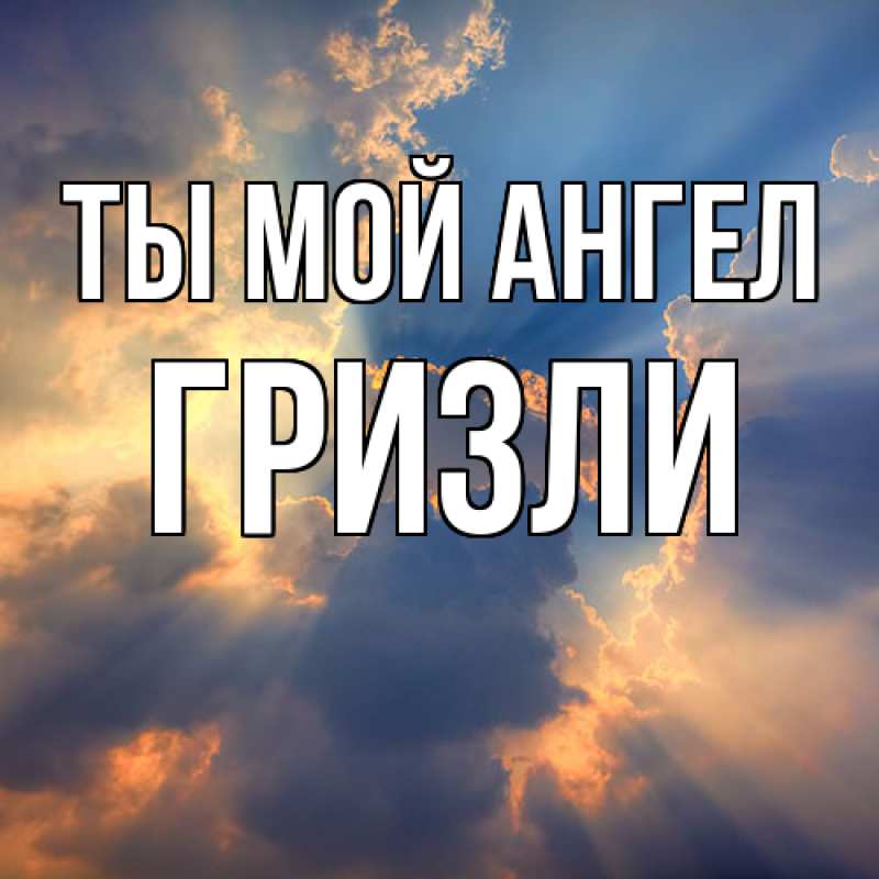 Картинка Ты мой ангел, Гризли