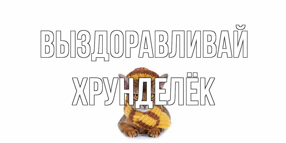 Открытка на каждый день с именем, Хрунделёк Выздоравливай родные не болейте Прикольная открытка с пожеланием онлайн скачать бесплатно 